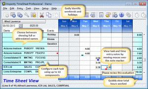 timesheet-spreadsheet-entry_700